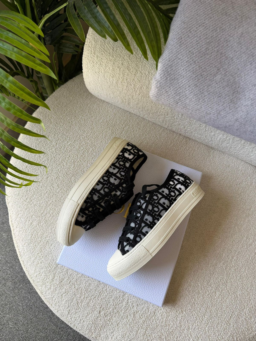 Walk'n'Dior Sneaker