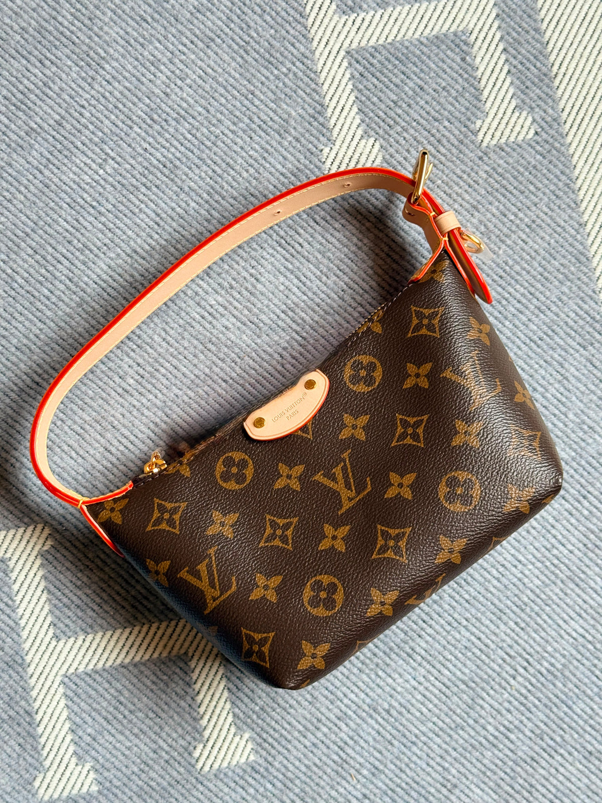 Louis Vuitton Pochette Hills Bag
