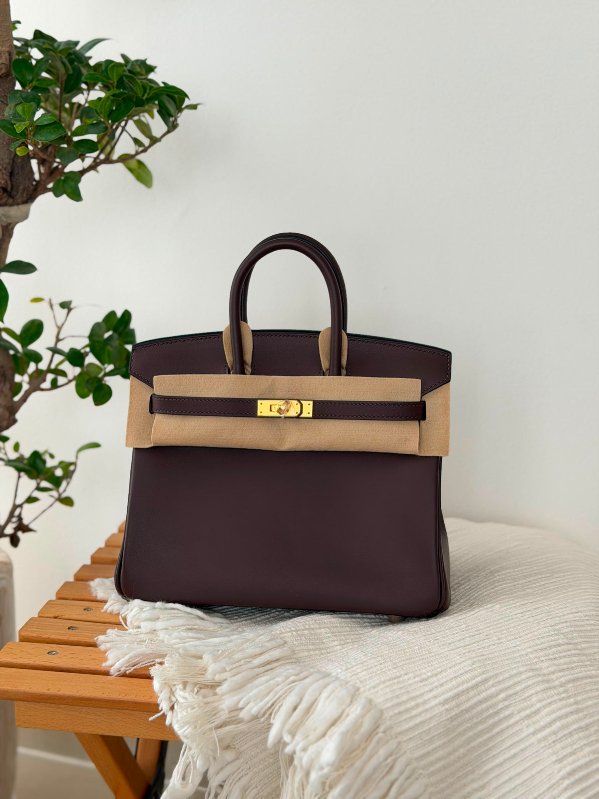 Hermes Birkin Handbag (25 Cm) - 11