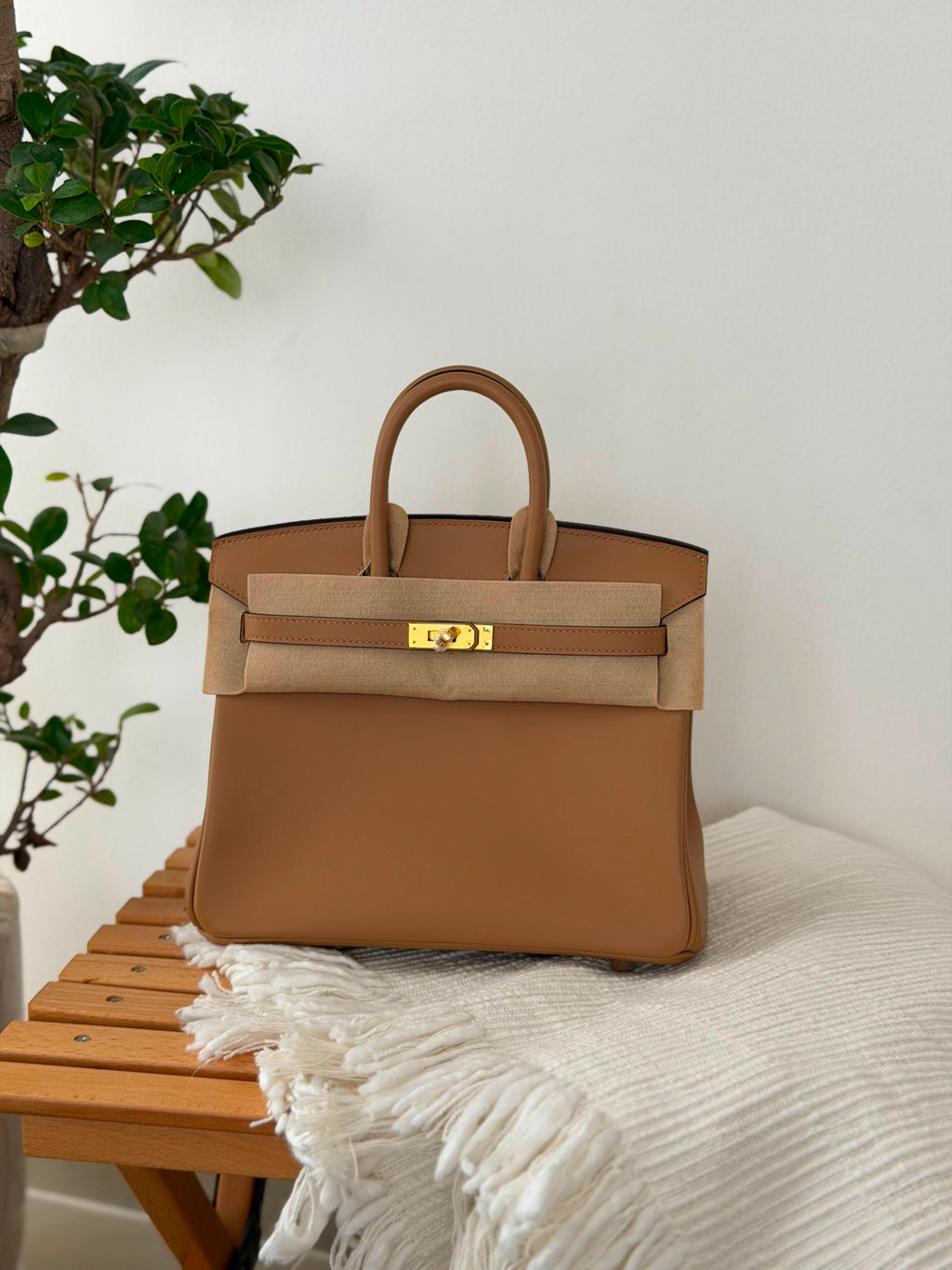 Hermes Birkin Handbag (25 Cm) - 9