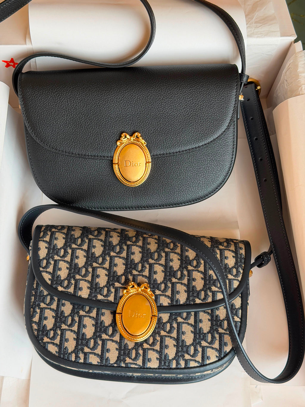 Dior Médaillon Flap Bag