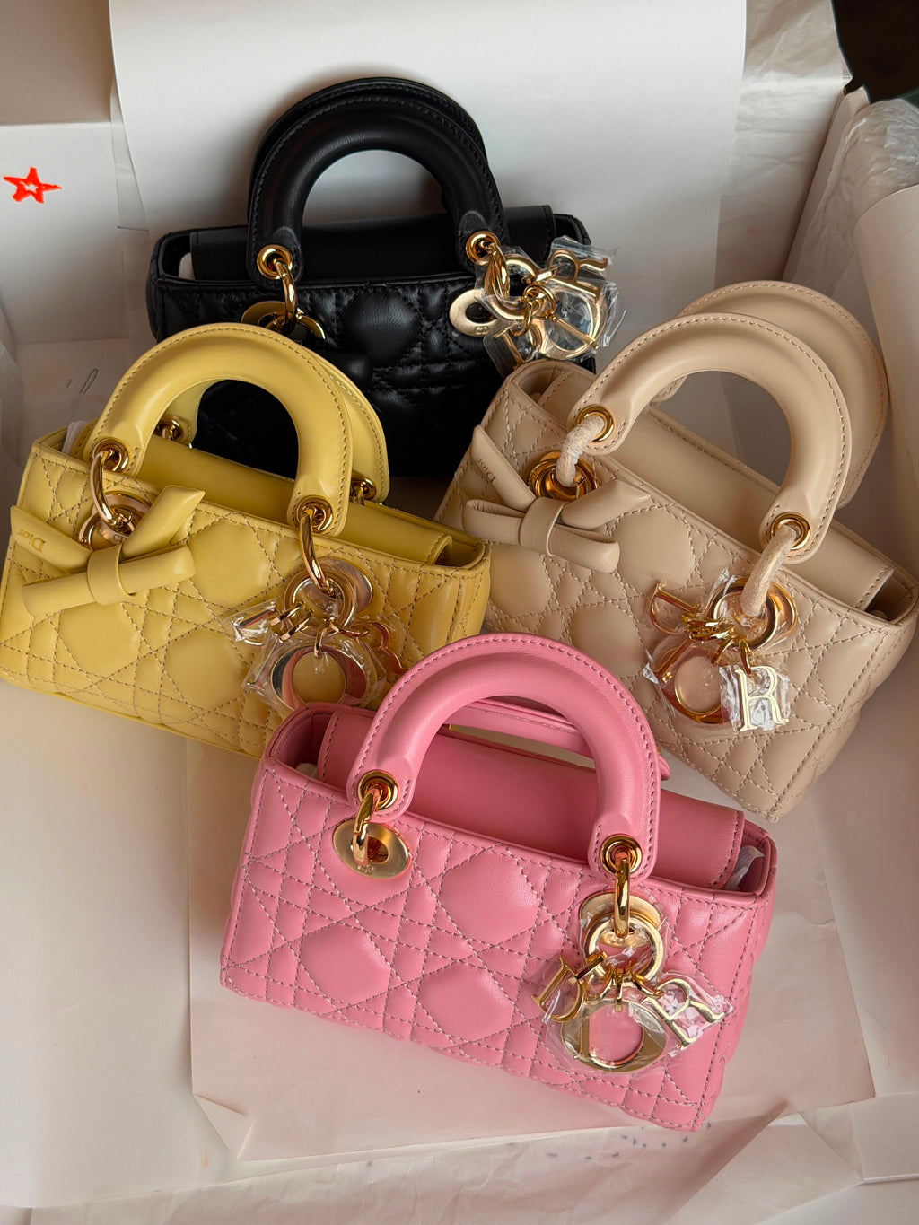 Christian Dior Lady D-Joy Bag