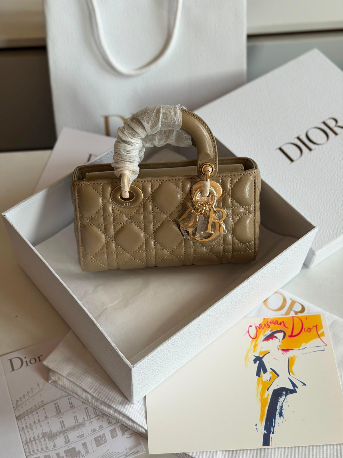 Dior Lady D-Joy Micro Bag - 13