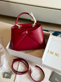Dior Cigale Bag