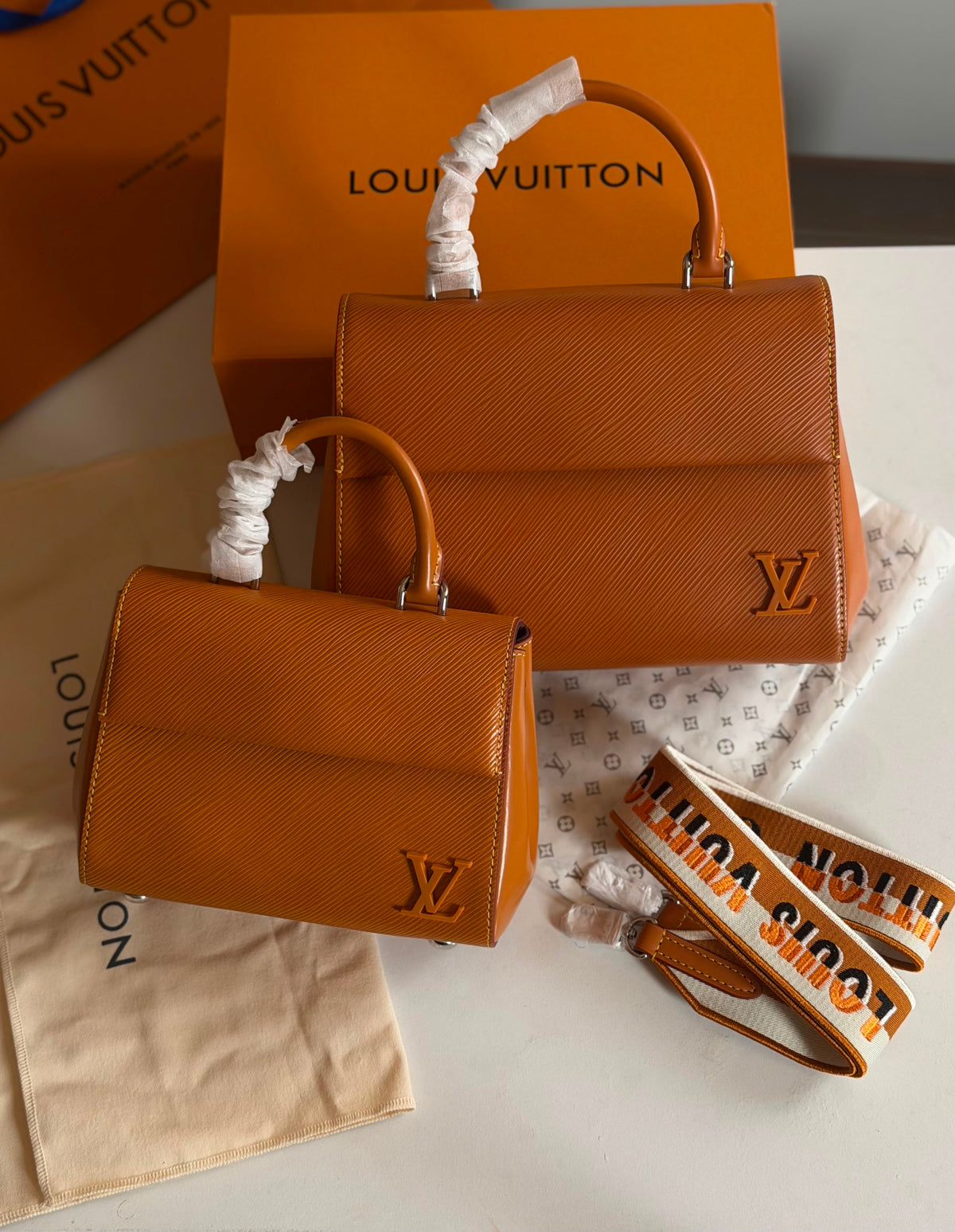Louis Vuitton Cluny Handbag - 2