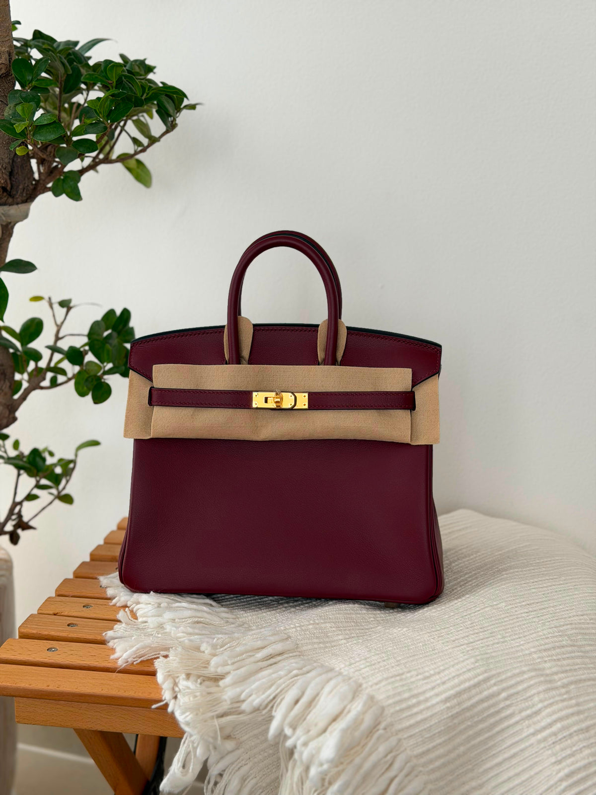 Hermes Birkin Handbag (25 Cm)