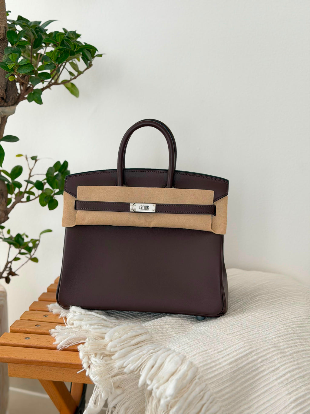 Hermes Birkin Handbag (25 Cm) - 6