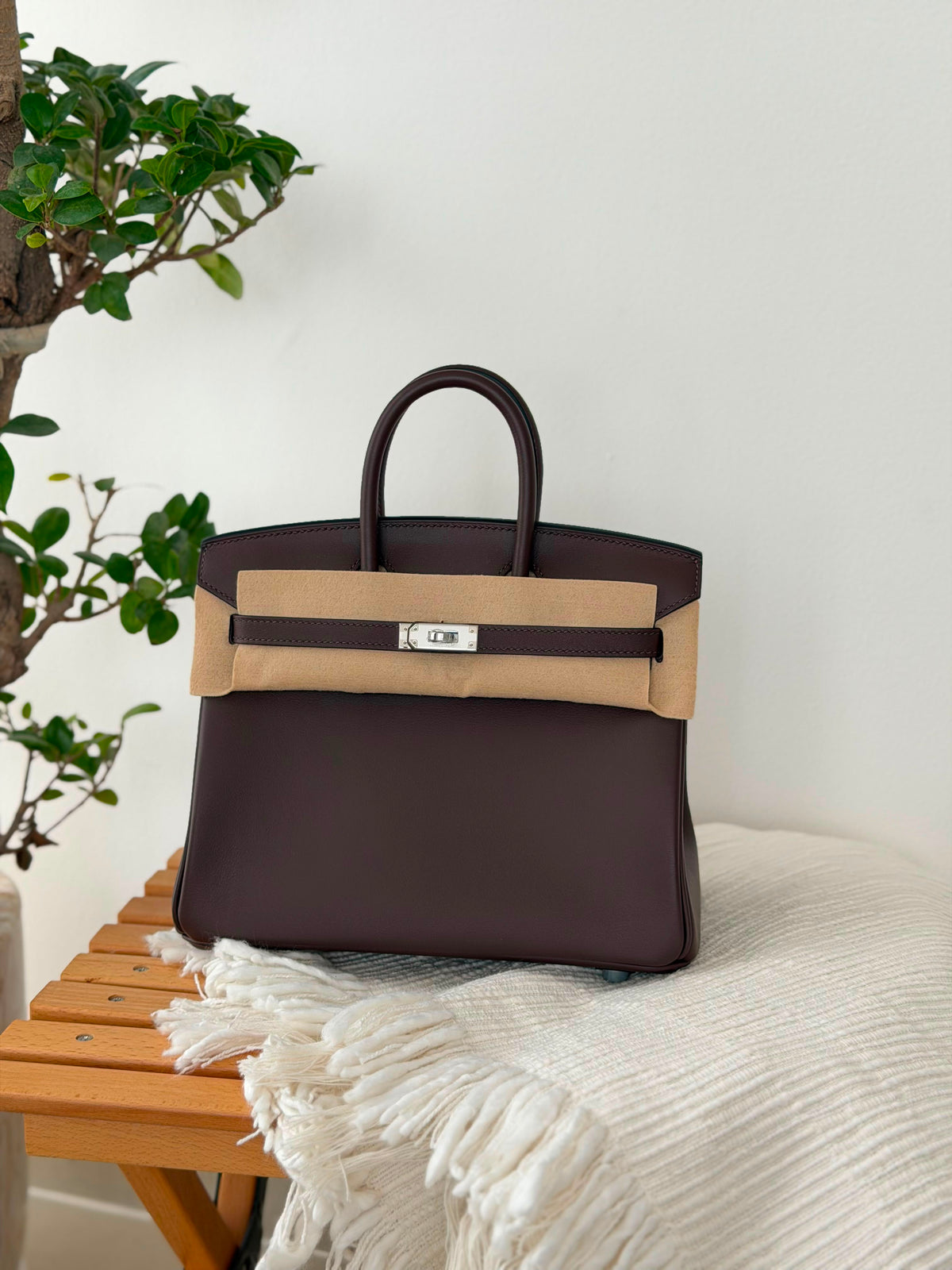 Hermes Birkin Handbag (25 Cm) - 6