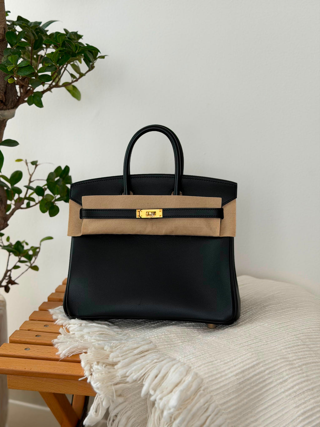 Hermes Birkin Handbag (25 Cm) - 2