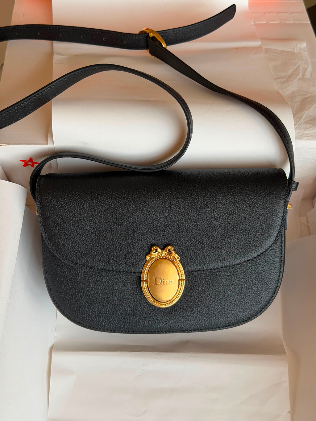 Dior Médaillon Flap Bag - 2