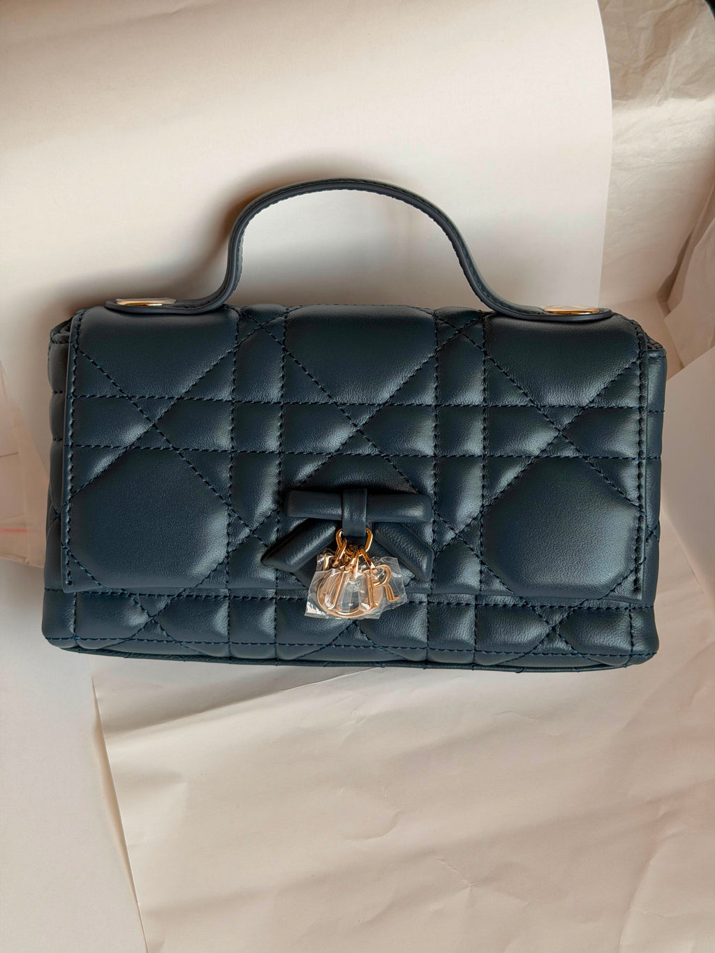 My Tender Dior Top Handle Mini Bag
